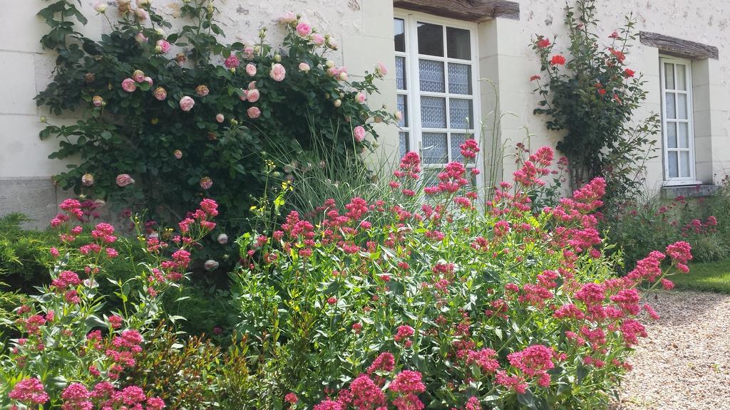 La Berdaquerie Βίλα Villandry Εξωτερικό φωτογραφία
